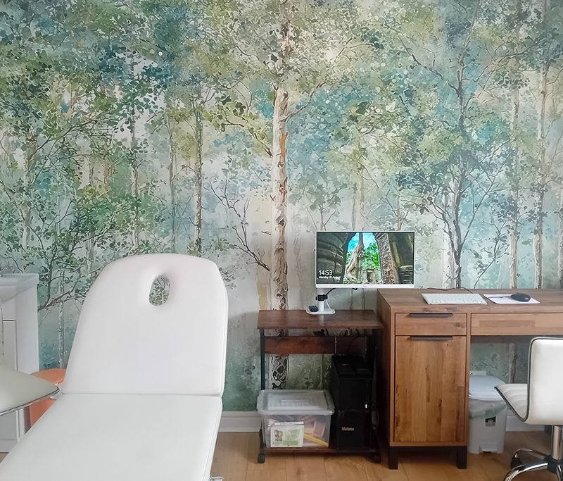 calming-consultation-room